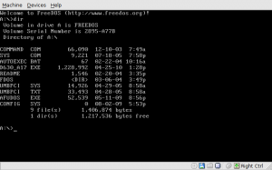 FreeDOS running in a VM